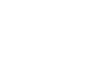 Webtoepassing-ikoon